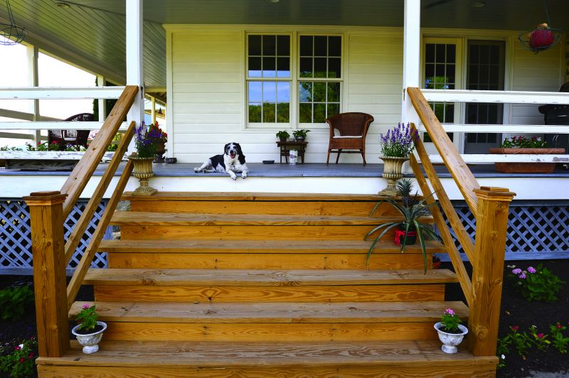 Porch and steps painted